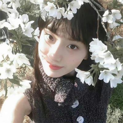 霹雳玫瑰